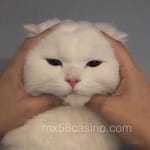 Avatar de Esmeralda Patiño